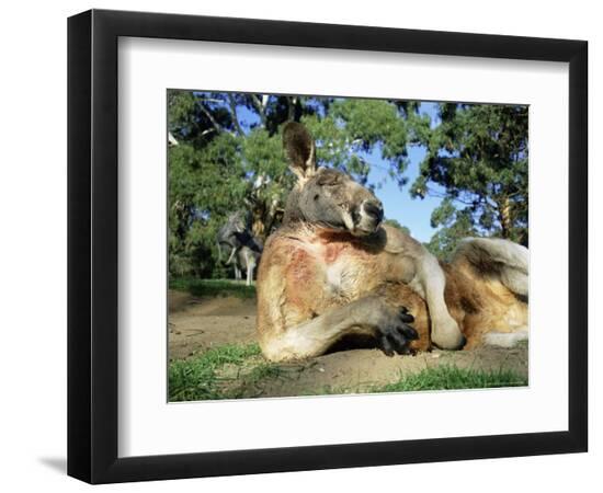 Premium Photographic Print, , large