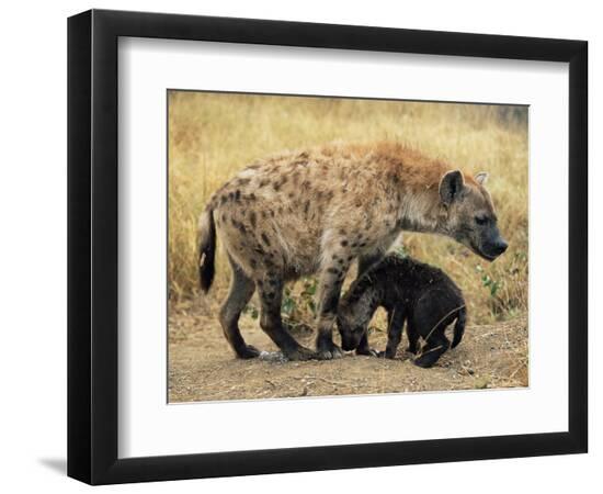 Photographic Print, , large