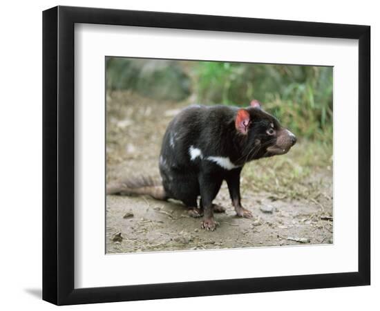 Photographic Print, , large