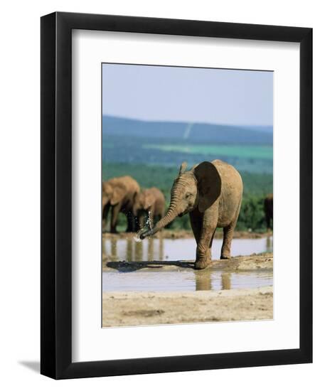 Photographic Print, , large