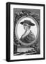 Ann Yearsley-null-Framed Art Print