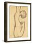 Anna Akhmatova as Acrobat, 1911-Amedeo Modigliani-Framed Giclee Print