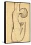 Anna Akhmatova as Acrobat, 1911-Amedeo Modigliani-Framed Stretched Canvas