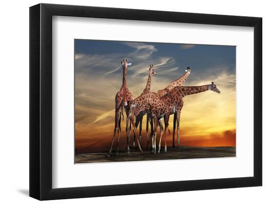 Photographic Print, , large