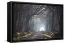 Framed Canvas
