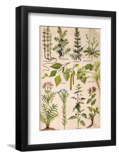 Premium Photographic Print, , large