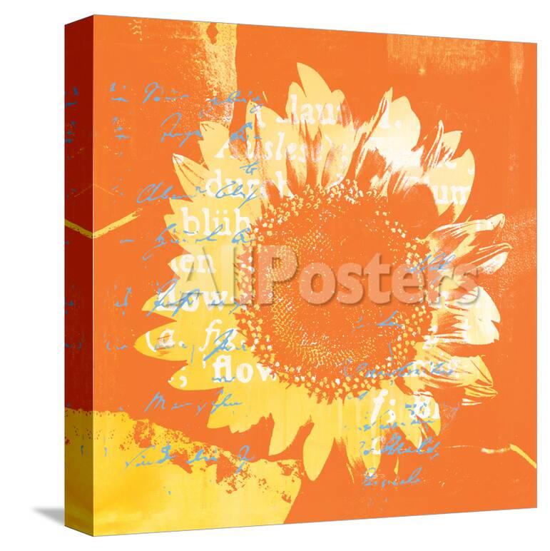 heliantype orange blue stretched canvas print by anna flores at