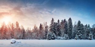 Tree in Winter Landscape-Anna Grigorjeva-Framed Photographic Print