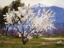 Almond Blossoms Near Banning-Anna Hills-Framed Art Print