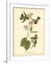 Anna Hummingbird-John James Audubon-Framed Art Print