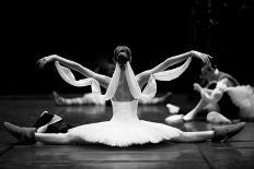 Long and Lean Ballet Dancers Legs-Anna Jurkovska-Photographic Print