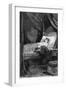 Anna Karenina --Paul Frenzeny-Framed Giclee Print