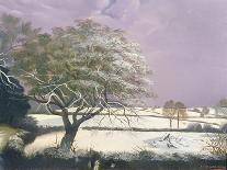 Suffolk Landscape, C.1968-Anna Katrina Zinkeisen-Giclee Print