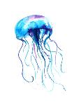 Jellyfish Watercolor Illustration. Painted Medusa Isolated on White Background, Underwater Wildlife-Anna Kutukova-Mounted Art Print