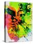 Stretched Canvas