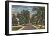 Anna Maria, Florida - View of Palms Along Street-Lantern Press-Framed Art Print