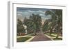 Anna Maria, Florida - View of Palms Along Street-Lantern Press-Framed Art Print