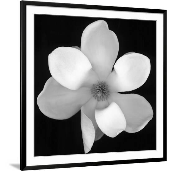 Framed Photographic Print, , large