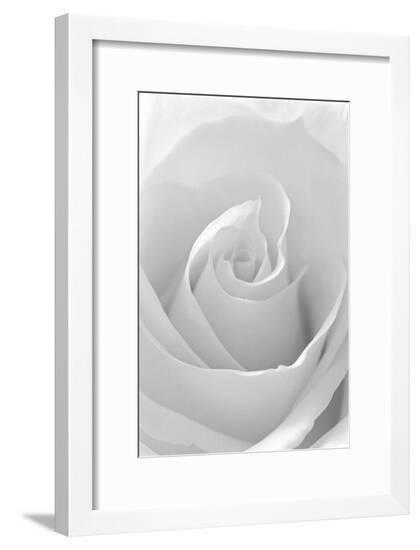 Framed Photographic Print, , large