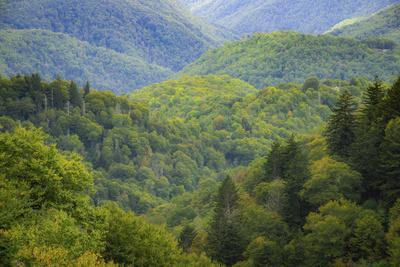 Blue Ridge Parkway vista, Smoky Mountains, USA.