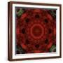 Brown Frame