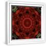 White Frame