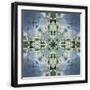 Black Frame