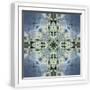 White Frame