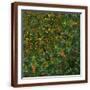 Brown Frame