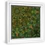 White Frame