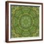 Brown Frame