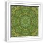 White Frame