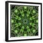 Black Frame