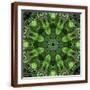 Brown Frame