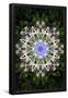 Essential Black