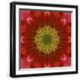 Black Frame