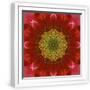 White Frame