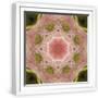 White Frame