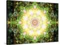 Stretched Canvas