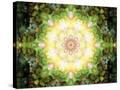 Stretched Canvas