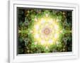 Gramercy White