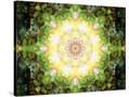 Stretched Canvas