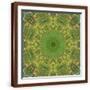 Brown Frame