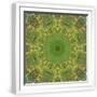White Frame