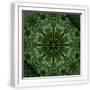 White Frame