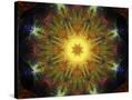 Stretched Canvas