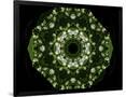 Gramercy Black