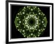 Gramercy Black
