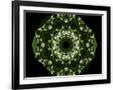 Gramercy Black