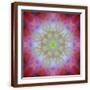 Brown Frame